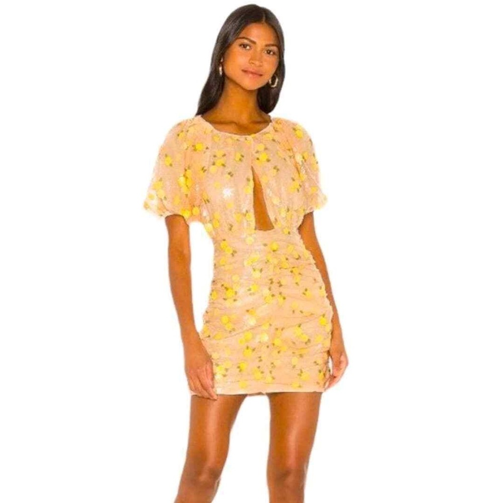 for love and lemons ryder mini dress
